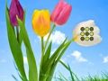 Игра Избягайте от цветни тревни площи онлайн