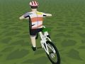 Игра Каране на екстремни 3D онлайн