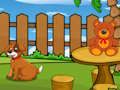 Игра Забавно бягство на игуана  онлайн