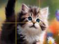 Игра Пъзел Плъзгащи се котенца  онлайн