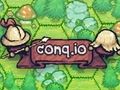 Игра Conq. io  онлайн