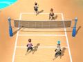Игра Плажен волейбол 3D  онлайн