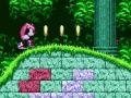 Игра Mighty & Ray в Sonic 2  онлайн