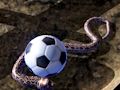 Игра Симулатор на змия на Python  онлайн