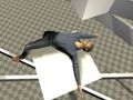 Игра Тест за Ragdoll  онлайн