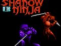 Игра Сянката на нинджата  онлайн