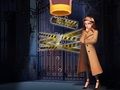 Игра Пин детектив  онлайн