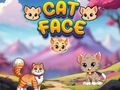 Игра Котешко лице  онлайн