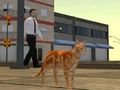 Игра Симулатор на котешки град  онлайн
