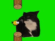 Игра Flappy Bird Spinning Oia Oia Cat онлайн