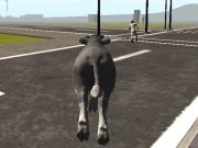 Игра Crazy Bull City  онлайн