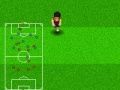 Игра Световно първенство по футбол 2010 онлайн
