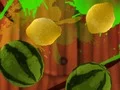 Fruit Break — безплатна онлайн игра