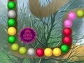 Lost Island — безплатна онлайн игра