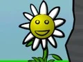 Flower Power — безплатна онлайн игра