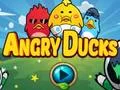 Angry Ducks — безплатна онлайн игра