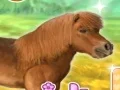 My Dear Pony — безплатна онлайн игра