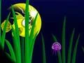 Flash Fish Freddie — безплатна онлайн игра