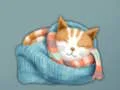 Adorable Escape Find Cute Kitten — безплатна онлайн игра