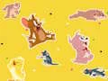 The Tom and Jerry Show Find it! — безплатна онлайн игра
