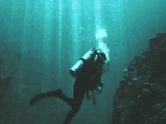 The Depths — безплатна онлайн игра