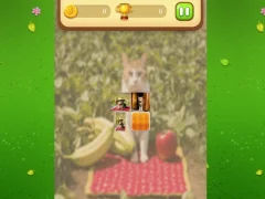 Farm Cat Memory Match — безплатна онлайн игра