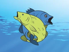 Friendly Fish Coloring — безплатна онлайн игра