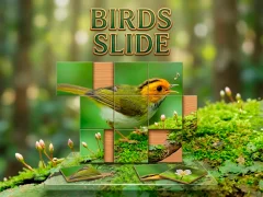 Birds Slide — безплатна онлайн игра