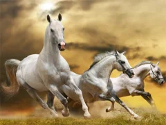 Running Horse Slide — безплатна онлайн игра