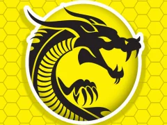 Kung Fu Fury — безплатна онлайн игра