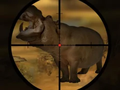 Classical Hippo Hunting — безплатна онлайн игра