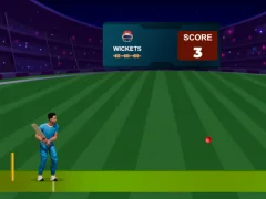 Cricket Night 2 — безплатна онлайн игра