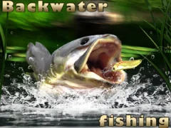 Backwater Fishing — безплатна онлайн игра