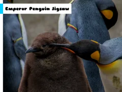 Emperor Penguin Jigsaw — безплатна онлайн игра