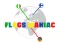Flags Maniac — безплатна онлайн игра