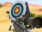 Hit Targets Shooting — безплатна онлайн игра