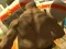 Monster Simulator — безплатна онлайн игра