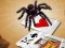 Jumping Spider — безплатна онлайн игра