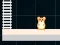 Hamster Grid Even Odd — безплатна онлайн игра