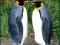 Penguin Puzzle — безплатна онлайн игра