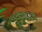 Frogs Matching — безплатна онлайн игра
