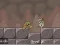 Roly-Poly Eliminator 2 — безплатна онлайн игра