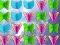 Butterfly Collector — безплатна онлайн игра