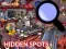 Hidden Spots In The Room — безплатна онлайн игра