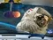 Space Find The Differences — безплатна онлайн игра