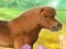 My Dear Pony — безплатна онлайн игра