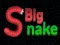 Big Snake.io — безплатна онлайн игра