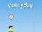 VolleyBall — безплатна онлайн игра