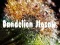Dandelion Jigsaw — безплатна онлайн игра