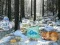 Winter Wonderland Forest Adventure — безплатна онлайн игра